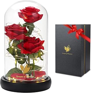 Holiday gift